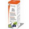 Ribes Nigrum Bio (Grosellero Negro) Physalis 100 ml