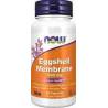 Membrana de Cáscara de Huevo 500 mg Now 60 cápsulas