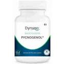 Pycnogenol 100 mg Dynveo 60 cápsulas